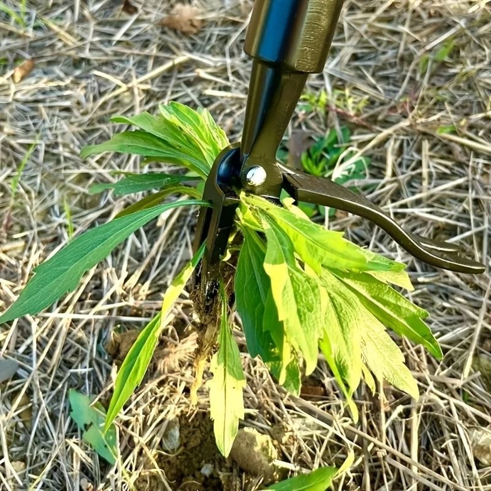 Professional 4Claw Weed Tool Head HeavyDuty Root Extractor For Tough Garden Maintenance 5