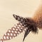 Electric Bird Interactive Cat Toy Rechargeable Squeaky Plush With Real Feathers Automatic Teaser 1