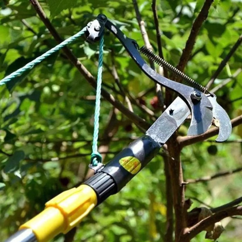 HighBranch Telescopic Scissors Fruit Picker PulleyAssisted Trimming Harvesting Tool 1