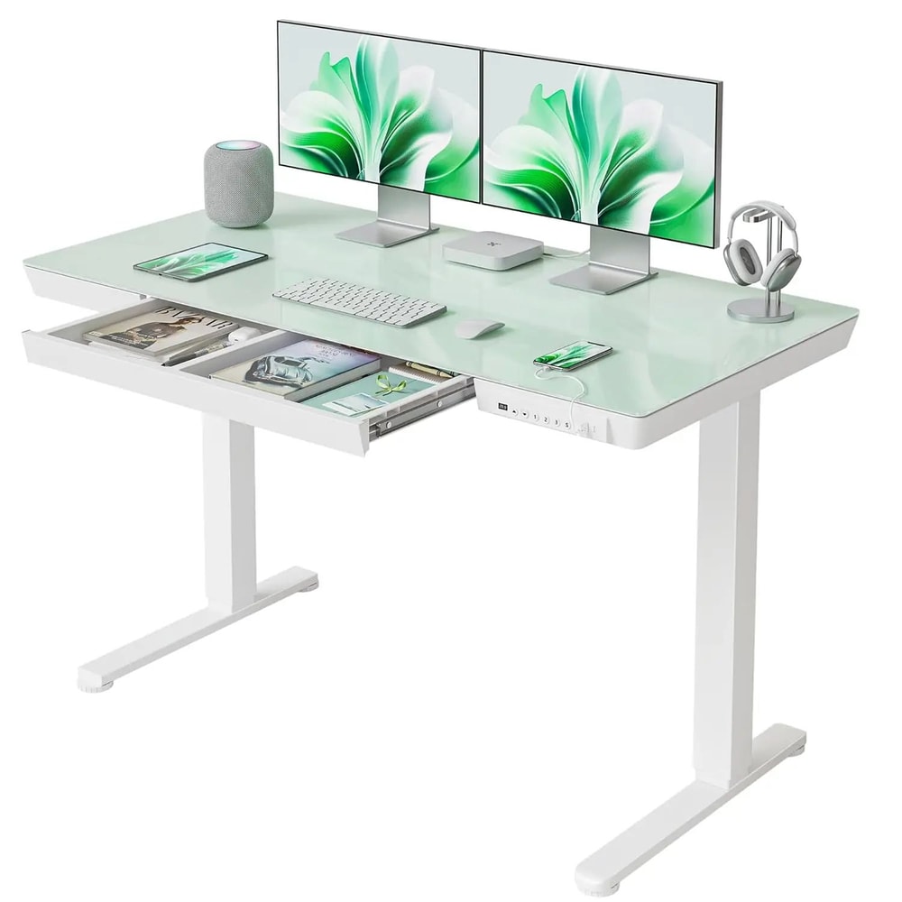 Adjustable Electric Standing Desk 48 X 24 Modern Maple Office Desk With Storage Bag And Headphone H 0