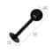 DualFunction Coffee Measuring Scoop Tamper Professional 2in1 Espresso Tamping Spoon 6