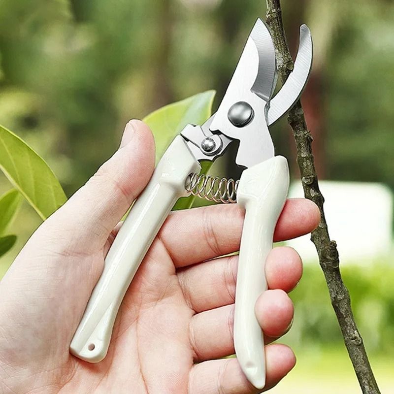 Professional Stainless Steel Gardening Scissors HighPerformance Floral Shears Fruit Tree Pruning 1