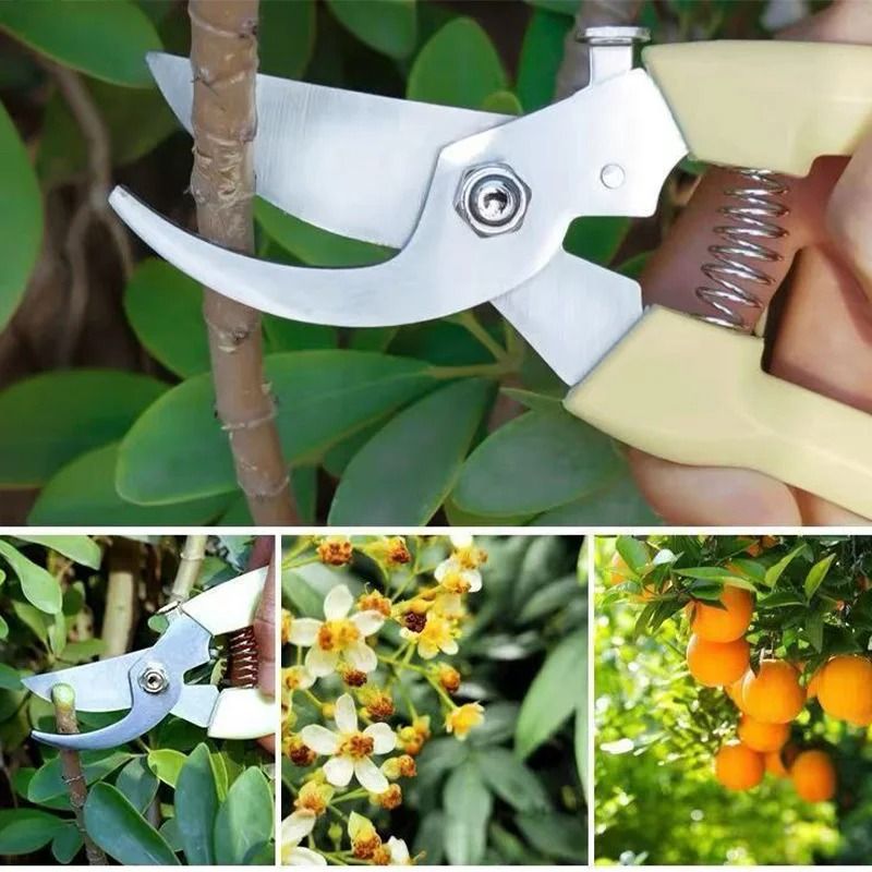 Professional Stainless Steel Gardening Scissors HighPerformance Floral Shears Fruit Tree Pruning 5