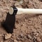 Indispensable DualHeaded Garden Hoe HighPerformance Handheld Weeding Tool With Wooden Handle 3