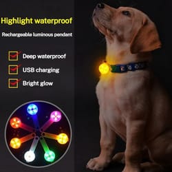 led dog safety pendant – high-performance rechargeable night flashing puppy flashlight & pet accessory