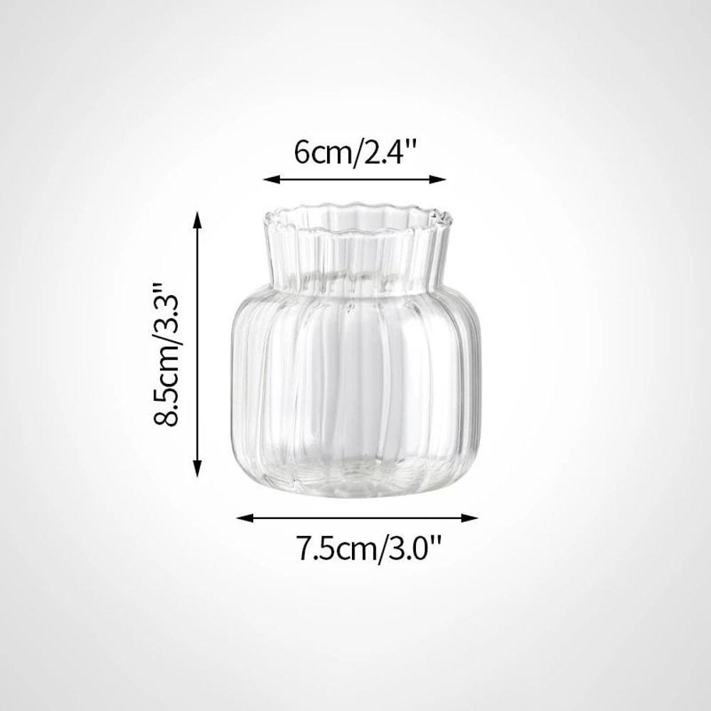 Mini Transparent Nordic Glass Vase HighPerformance Hydroponic Plant Vase Modern Living Room Ornam 12
