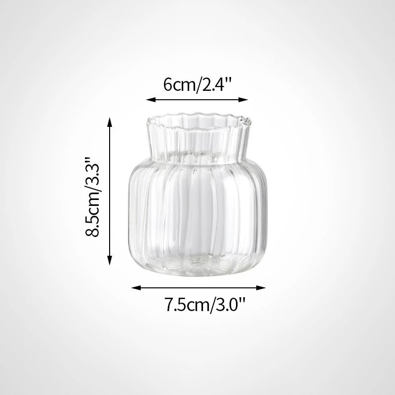 Mini Transparent Nordic Glass Vase HighPerformance Hydroponic Plant Vase Modern Living Room Ornam 12