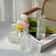 Mini Transparent Nordic Glass Vase HighPerformance Hydroponic Plant Vase Modern Living Room Ornam 3