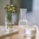 Mini Transparent Nordic Glass Vase HighPerformance Hydroponic Plant Vase Modern Living Room Ornam 5
