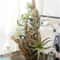 Artificial Flocking Tillandsia Air Plants HighPerformance 2Piece Faux Succulent Bromeliad Set 4