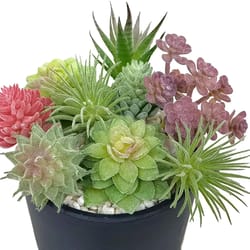 artificial small succulent set – high-performance 9-piece indoor botanical decor & multi-type faux plant collection
