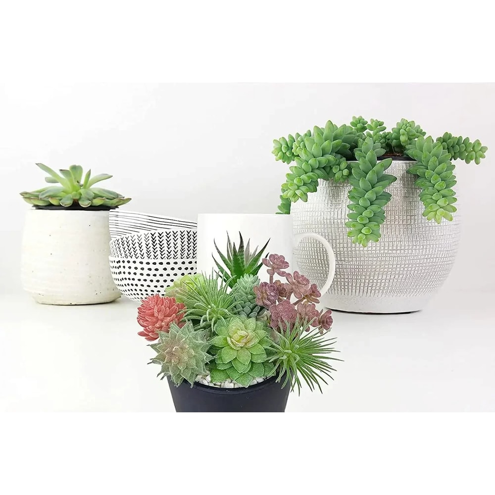 Artificial Small Succulent Set HighPerformance 9Piece Indoor Botanical Decor MultiType Faux Plant 2