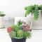 Artificial Small Succulent Set HighPerformance 9Piece Indoor Botanical Decor MultiType Faux Plant 2