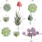 Artificial Small Succulent Set HighPerformance 9Piece Indoor Botanical Decor MultiType Faux Plant 4