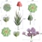 Artificial Small Succulent Set HighPerformance 9Piece Indoor Botanical Decor MultiType Faux Plant 4