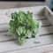 Mini Artificial Cactus Plant HighPerformance 24Head Realistic Succulent Real Touch Micro Landscap 5