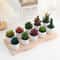 Artificial Succulent Mini Bonsai HighPerformance Simulation Evergreen Cactus Fake Plastic Decor P 1