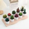 Artificial Succulent Mini Bonsai HighPerformance Simulation Evergreen Cactus Fake Plastic Decor P 1