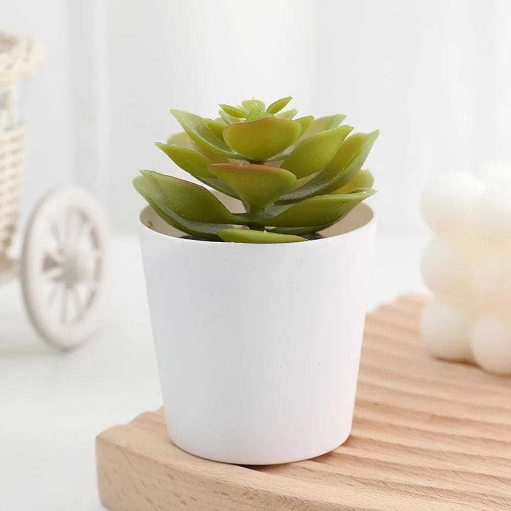 Artificial Succulent Mini Bonsai HighPerformance Simulation Evergreen Cactus Fake Plastic Decor P 2