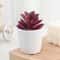 Artificial Succulent Mini Bonsai HighPerformance Simulation Evergreen Cactus Fake Plastic Decor P 10
