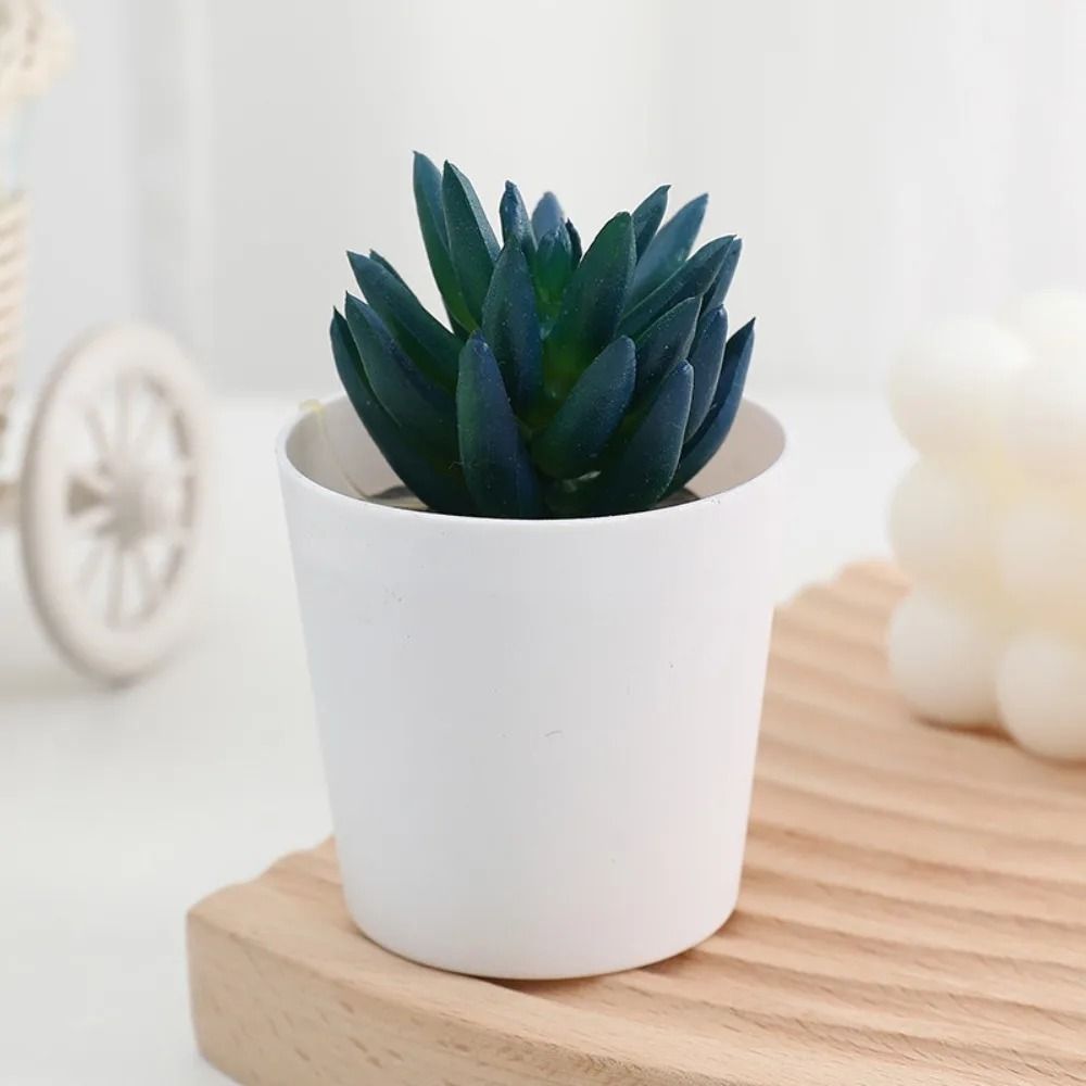 Artificial Succulent Mini Bonsai HighPerformance Simulation Evergreen Cactus Fake Plastic Decor P 12