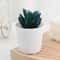 Artificial Succulent Mini Bonsai HighPerformance Simulation Evergreen Cactus Fake Plastic Decor P 12
