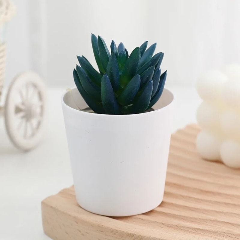 Artificial Succulent Mini Bonsai HighPerformance Simulation Evergreen Cactus Fake Plastic Decor P 12