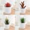 Artificial Succulent Mini Bonsai HighPerformance Simulation Evergreen Cactus Fake Plastic Decor P 3