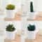 Artificial Succulent Mini Bonsai HighPerformance Simulation Evergreen Cactus Fake Plastic Decor P 4