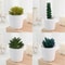 Artificial Succulent Mini Bonsai HighPerformance Simulation Evergreen Cactus Fake Plastic Decor P 4