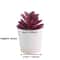 Artificial Succulent Mini Bonsai HighPerformance Simulation Evergreen Cactus Fake Plastic Decor P 5