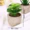 Mini Evergreen Simulated Tree HighPerformance Artificial Succulent Pot Plant Office Table Ornamen 9
