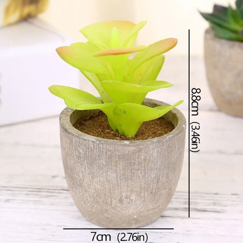 Mini Evergreen Simulated Tree HighPerformance Artificial Succulent Pot Plant Office Table Ornamen 10