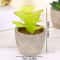 Mini Evergreen Simulated Tree HighPerformance Artificial Succulent Pot Plant Office Table Ornamen 10