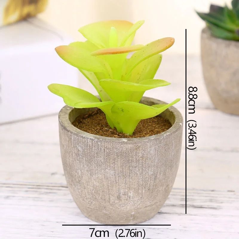 Mini Evergreen Simulated Tree HighPerformance Artificial Succulent Pot Plant Office Table Ornamen 10