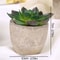 Mini Evergreen Simulated Tree HighPerformance Artificial Succulent Pot Plant Office Table Ornamen 11