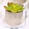 Mini Evergreen Simulated Tree HighPerformance Artificial Succulent Pot Plant Office Table Ornamen 12