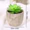 Mini Evergreen Simulated Tree HighPerformance Artificial Succulent Pot Plant Office Table Ornamen 13