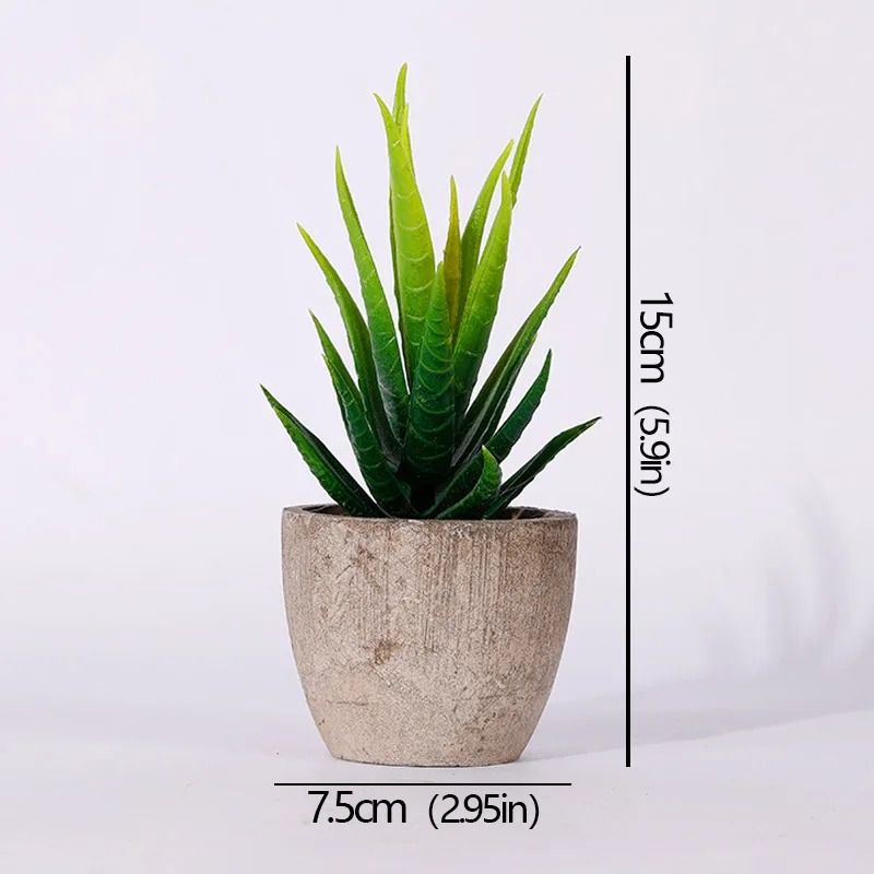 Mini Evergreen Simulated Tree HighPerformance Artificial Succulent Pot Plant Office Table Ornamen 16