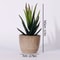 Mini Evergreen Simulated Tree HighPerformance Artificial Succulent Pot Plant Office Table Ornamen 17