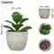 Mini Evergreen Simulated Tree HighPerformance Artificial Succulent Pot Plant Office Table Ornamen 4