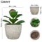Mini Evergreen Simulated Tree HighPerformance Artificial Succulent Pot Plant Office Table Ornamen 4