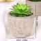 Mini Evergreen Simulated Tree HighPerformance Artificial Succulent Pot Plant Office Table Ornamen 6