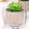 Mini Evergreen Simulated Tree HighPerformance Artificial Succulent Pot Plant Office Table Ornamen 6