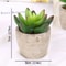 Mini Evergreen Simulated Tree HighPerformance Artificial Succulent Pot Plant Office Table Ornamen 7