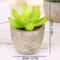Mini Evergreen Simulated Tree HighPerformance Artificial Succulent Pot Plant Office Table Ornamen 8
