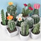 Mini Realistic Fake Cactus HighPerformance Artificial Succulent Without Pot Cute Potted Plant Dec 0