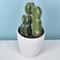 Mini Realistic Fake Cactus HighPerformance Artificial Succulent Without Pot Cute Potted Plant Dec 9