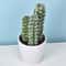 Mini Realistic Fake Cactus HighPerformance Artificial Succulent Without Pot Cute Potted Plant Dec 10