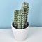 Mini Realistic Fake Cactus HighPerformance Artificial Succulent Without Pot Cute Potted Plant Dec 10